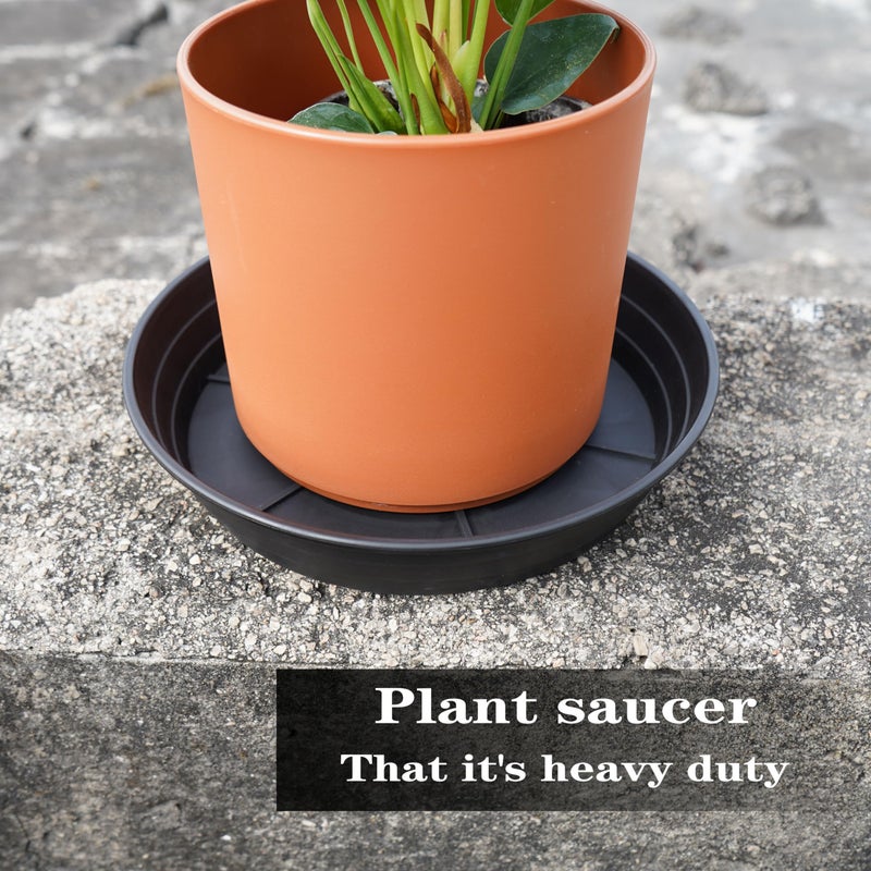 LWALRS 4 Packs 6 Inches Plant Saucer Drip Trays, Round Plastic Plant Pot Saucers Flower Pot Tray for Indoor Outdoor - Image 3